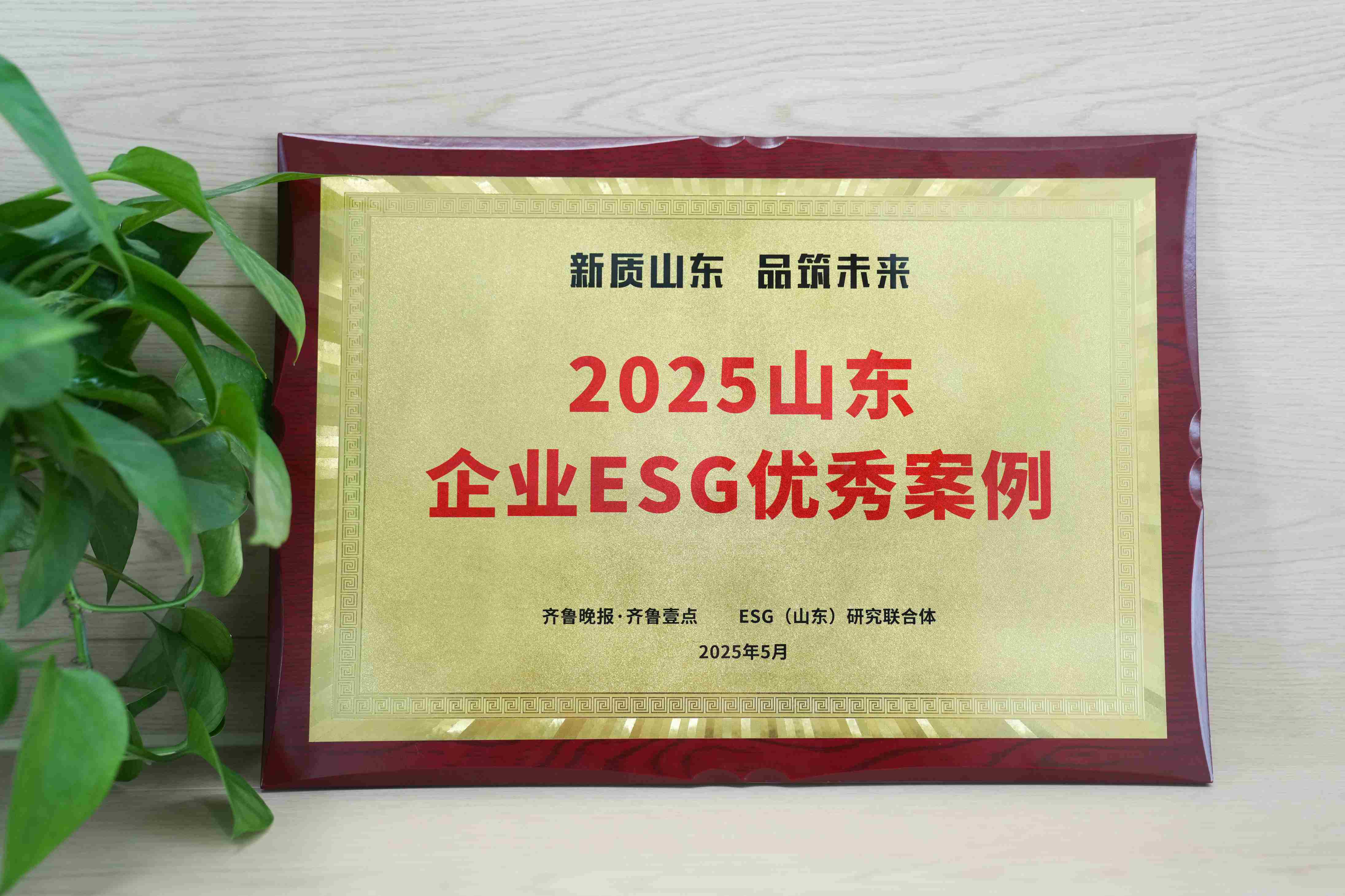 壹定发医疗入选2025山东企业ESG优秀案例